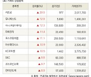 [fnRASSI]장마감, 거래소 상승 종목(카프로 29.9% ↑)