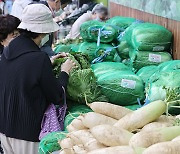 김장 비용 부담 낮춘다…농수산물 할인지원 예산 245억 원 투입