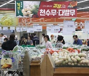 사과 사려고 반찬 줄였다…장바구니 물가 2년 사이 25% 올라