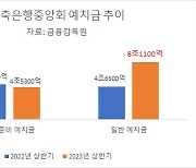 대출 못 한 저축은행, 중앙회 예치만 8조 쌓였다