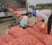 농산물 자율 수급안정 추진단 구성·운영