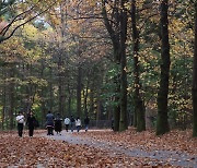 Korea has its warmest November in a century