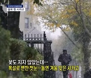 [인터넷 와글와글] 꽃도 지지 않았는데…갑자기 겨울 맞은 시카고