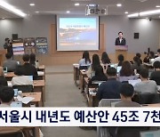 서울시 내년도 예산안 45조 7,230억 원…13년 만에 축소