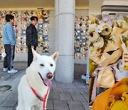 김원효→박성광, 故 박지선 3주기 추모 “하늘에서도 웃을 수 있게 노력할게”(종합)[M+이슈]