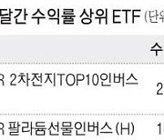 지난 한달간 수익률 톱10 ETF 모두 '인버스'