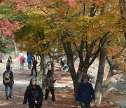 단풍 산책 나선 시민들