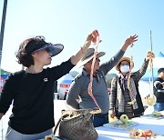 청송사과축제 '누가 길게 깎았나요'