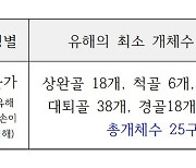 71년 전 아버지가 학살된 황망한 이유