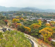 오늘 아침 서울 기온, 1907년 이후 역대 11월 중 가장 높았다