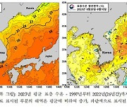 펄펄 끓는 한반도 바다…표층 수온 관측 이래 가장 높아