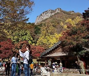 내장산국립공원 백양사에서 가을정취 만끽