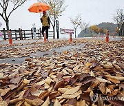 [날씨] 중부 돌풍·천둥·번개 동반한 비…일부 싸락우박도