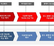 해외부동산 손실 막는 '구제펀드' 향한 우려…흔들리는 '자기책임 원칙'