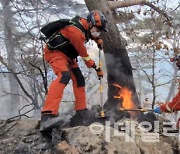 강원 양구 산불 16시간만인 3일 오전 주불 진화 완료