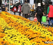 [오늘의 날씨]대구·경북(3일,금)…오후부터 구름, 낮 최고 26도