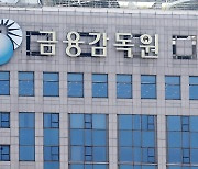 금감원 “손보사들, 독감보험 과열 경쟁 자제를”