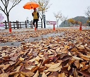 [내일날씨] 전국 가을비 소식에 ‘촉촉’…낮 최고 24도