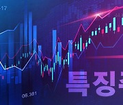 [특징주] 네이버, 6개 분기 연속 최대 실적…3%대 오름세