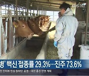 ‘소 럼피스킨병’ 백신 접종률 29.3%…진주 73.6%