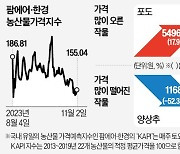 치솟던 농산물 가격 꺾였다