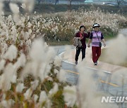 억새 가득한 전주 삼천