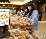 농촌진흥청, 우리나라 골드키위 '감황' 판촉 시식회