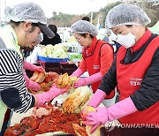 절임배추 고장서 김장체험하는 참가자들