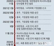 대한항공 아시아나항공 이사회 의결 막전막후[떴다떴다 변비행]