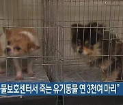 “부산 동물보호센터서 죽는 유기동물 연 3천여 마리”