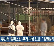 부안서 ‘럼피스킨’ 추가 의심 신고…“정밀검사 중”