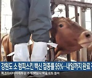 강원도 소 럼피스킨 백신 접종률 95%…내일까지 완료 전망