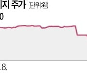 7연속 하한가 영풍제지…'천하제일 단타대회' 열렸다