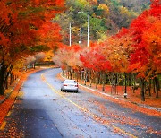 [WEEKEND GETAWAY] Daegu's 4 most scenic fall destinations