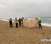 "바다에 사람 형체" 신고…강릉 안목해변서 남성 1명 숨진 채 발견