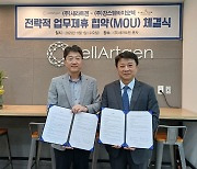 강스템·세라트젠 "오가노이드 당뇨병 치료제 개발 추진"