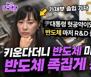 한국의 엔비디아는 꿈꿀 수 없나…"키운다"던 반도체, 예산 삭감 수난사