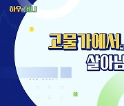 [하우머니] 고물가에서 살아남기