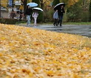 [포토]늦가을 정취