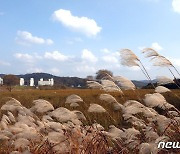 [오늘의 주요일정] 정치·정부(5일, 일)