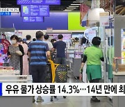 지난달 우유 물가 상승률 14.3%···'물가관리TF' 가동