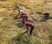 역시 ‘인구 대국’…인도 물가정책에 세계 곡물시장 ‘비상’