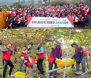 BNK경남은행, ‘가을맞이 사회공헌활동’ 실시