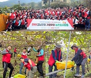 BNK경남은행 '가을맞이 사회공헌활동'에 임직원 5백여명 참여