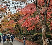 가을빛 물든 정읍 내장산