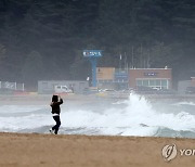 강한 파도 치는 낙산해변