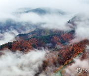 구름 이불 덮은 가을