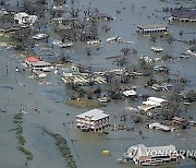 Sustainable Hurricane Homes