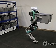 Humanoid Robots