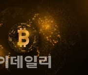 "최소 10배 오른다"며 코인으로 미끼…4000명, 180억 피해